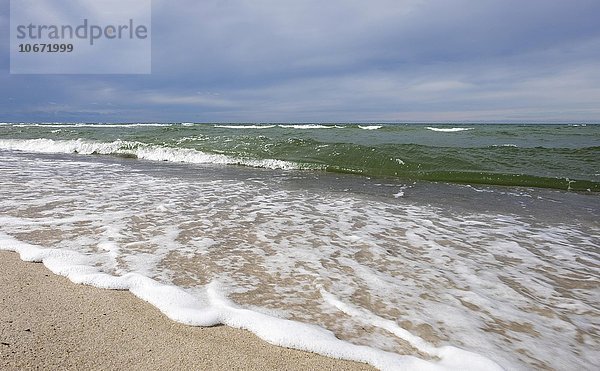 Strand Ostsee-Küste  Darß  Fischland-Darß-Zingst  Nationalpark Vorpommersche Boddenlandschaft  Mecklenburg-Vorpommern  Deutschland  Europa