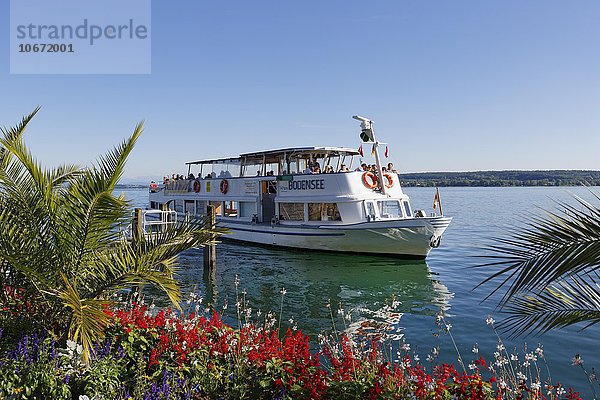 Passagierschiff auf Bodensee  Überlingen  Bodenseekreis  Oberschwaben  Baden-Württemberg  Deutschland  Europa