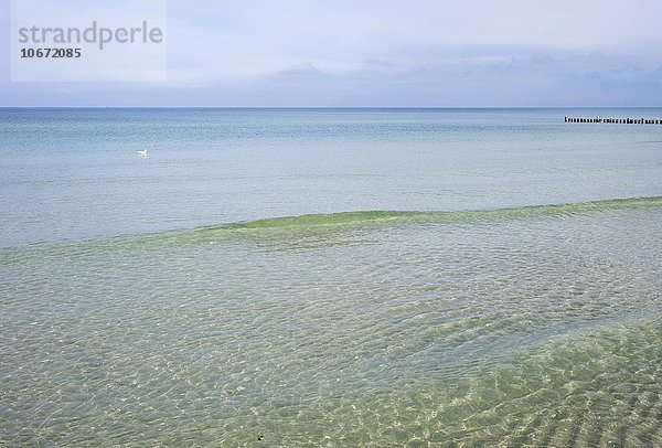 Ruhige Ostsee mit kleiner Welle  Darß  Fischland-Darß-Zingst  Mecklenburg-Vorpommern  Deutschland  Europa