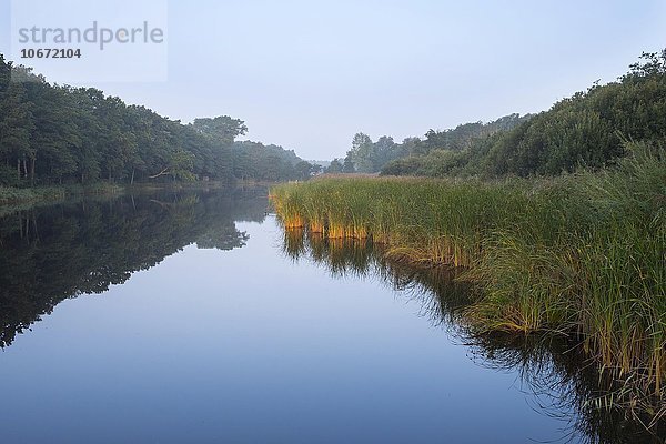 Prerower Strom oder Prerowstrom im Morgendunst  Prerow  Darß  Fischland-Darß-Zingst  Nationalpark Vorpommersche Boddenlandschaft  Mecklenburg-Vorpommern  Deutschland  Europa