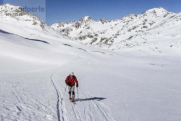 Skitourengeher beim Aufstieg auf die Finailspitze  hinten die Weißkugel  Schnalstal  Meraner Land  Alpen  Südtirol  Trentino-Südtirol  Italien  Europa