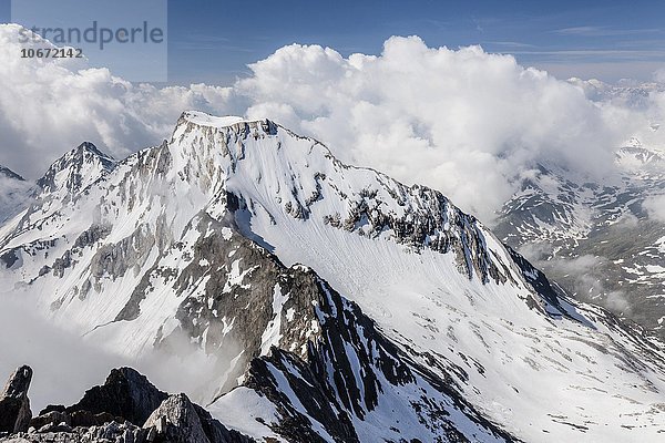 Ausblick vom Gipfel der Hohen Weißen zwischen dem Pfossental und dem Pfelderertal auf Lodner  Schnalstal  Meraner Land  Südtirol  Trentino-Südtirol  Alpen  Italien  Europa