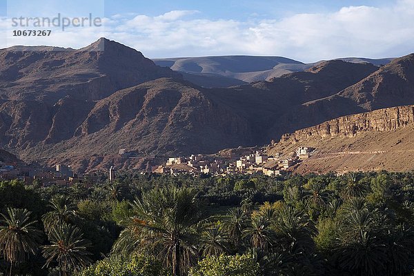 Oase Tinerhir  Hoher Atlas  Souss-Massa-Draâ  Marokko  Afrika