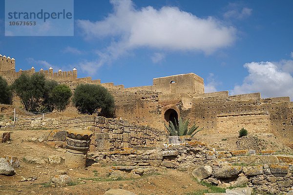 Ruinen der Totenstadt Nekropole Chellah  Rabat  Provinz Rabat  Marokko  Afrika