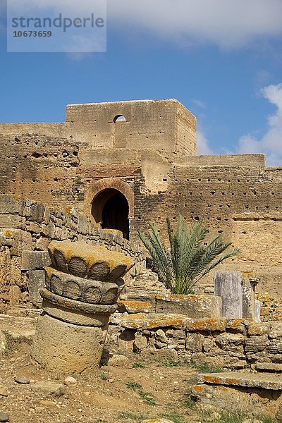 Ruinen der Totenstadt Nekropole Chellah  Rabat  Provinz Rabat  Marokko  Afrika