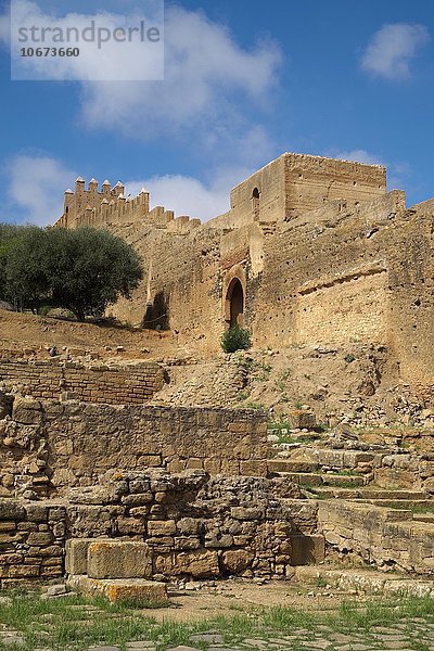 Ruinen der Totenstadt Nekropole Chellah  Rabat  Provinz Rabat  Marokko  Afrika