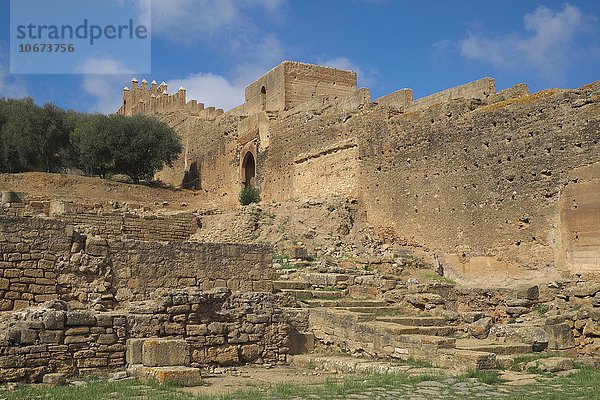 Ruinen der Totenstadt Nekropole Chellah  Rabat  Provinz Rabat  Marokko  Afrika