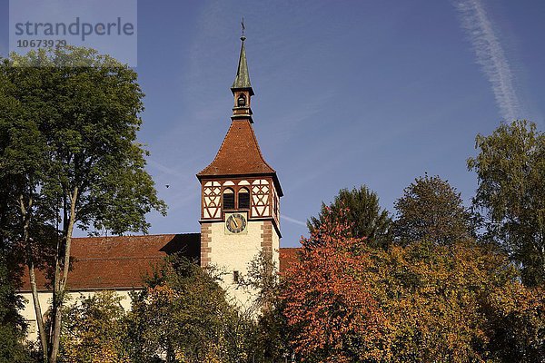 Stadtkirche St. Blasius  Kurort Bad Liebenzell  Schwarzwald  Baden-Württemberg  Deutschland  Europa