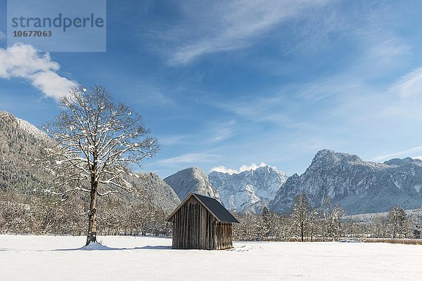 Heustadel in Winterlandschaft  Gesäuseeingang  hinten Großer Ödstein  Nationalpark Gesäuse  Steiermark  Österreich  Europa