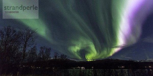 Polarlichter (Aurora borealis) über Fjord  Region Troms  Norwegen  Europa