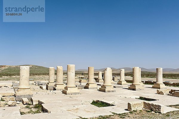 Archäologie  Säulen  große Empfangshalle des Kyros II  alte persische Residenzstadt Pasargadae  nahe Persepolis  Provinz Fars  Iran