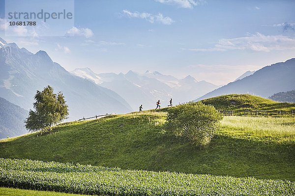Eine Frau und zwei Männer laufen über eine Hügellandschaft  Rosengarten  hinten Stubaier Alpen  Tirol  Österreich  Europa