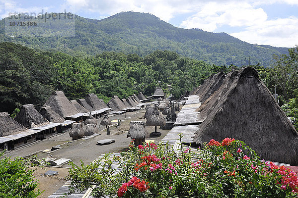 Indonesien  Insel Flores  Dorf Bena  Stamm der Ngada