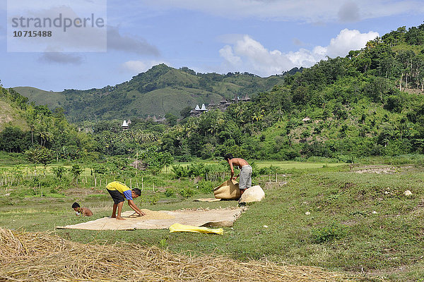 Indonesien  Insel Sumba  Alltagsleben