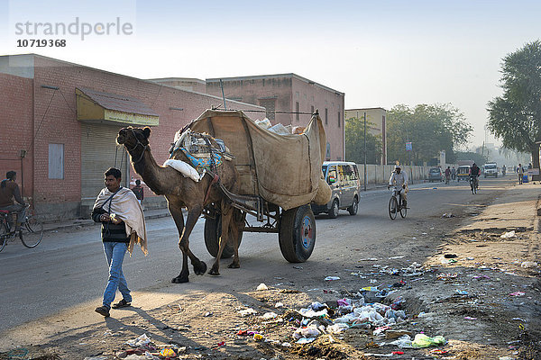 Indien  Rajasthan  Bikaner  Alltagsleben  Verkehr