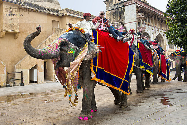 Indien  Rajasthan  Jaipur  Amber Fort  Elefant