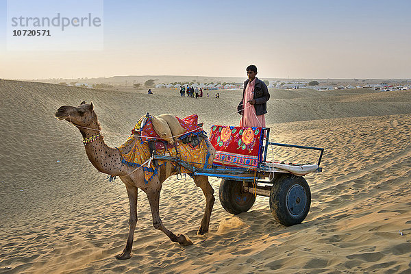 Indien  Rajasthan  Jaisalmer  Kamelritt Wüste