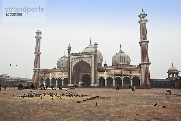 Indien  Neu-Delhi  Jama-Masjid-Moschee