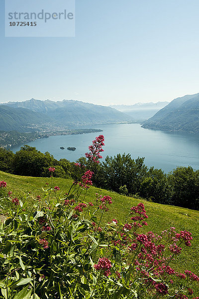 Schweiz  Kanton Tessin  Brissago  Landschaft