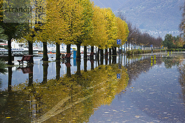 Schweiz  Locarno  alluvion