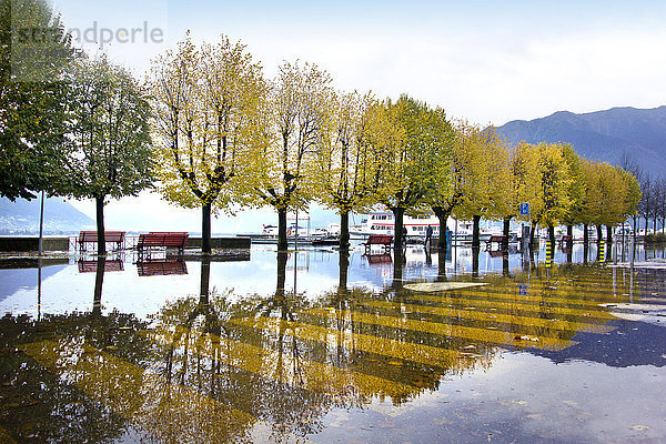 Schweiz  Locarno  alluvion