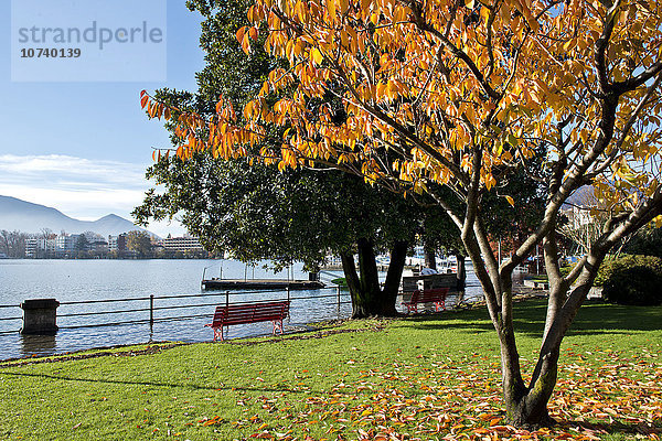 Schweiz  Locarno  Landschaft