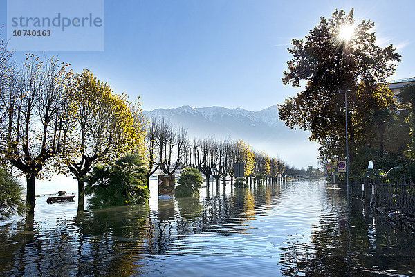 Schweiz  Locarno  alluvion