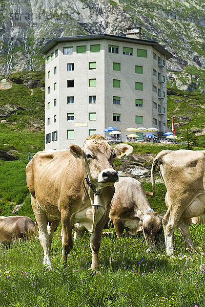 Schweiz  Kanton Tessin  Robiei  Hotel