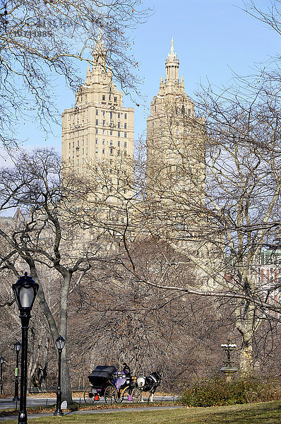 USA  New York  Kutschen im Central Park