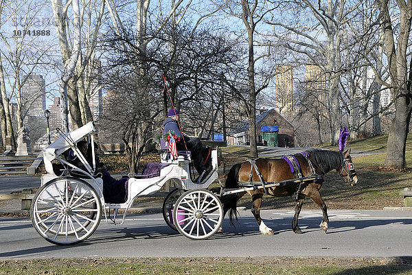 USA  New York  Kutschen im Central Park