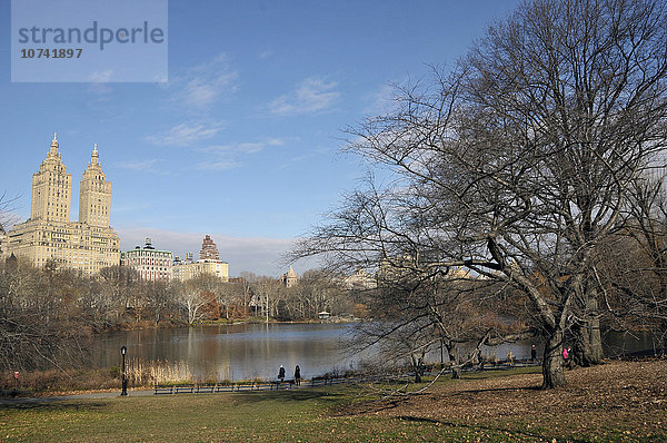 USA  New York  Central Park