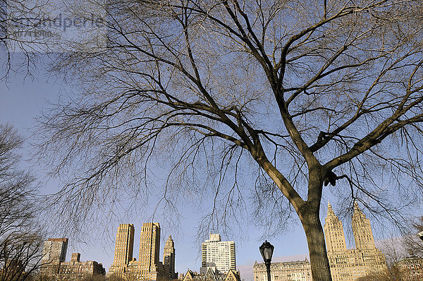 USA  New York  Central Park