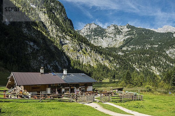 Saletalm  Königssee  Nationalpark Berchtesgaden  Berchtesgadener Land  Oberbayern  Bayern  Deutschland  Europa