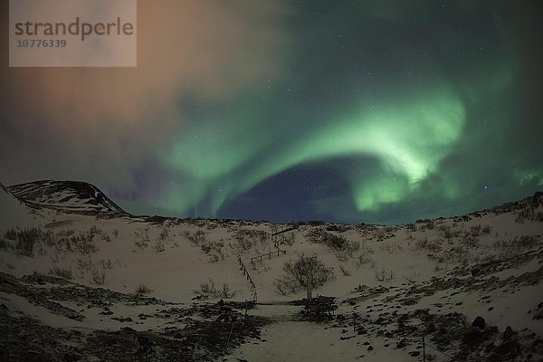 Nordlichter im Winter  Borgarnes  Snaefellsnes  Island  Europa