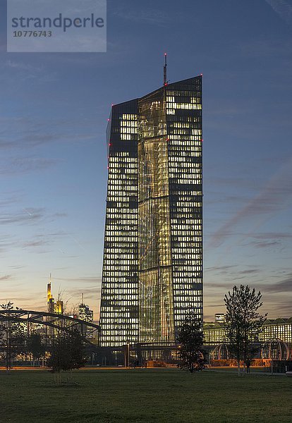 Hell erleuchtete Europäische Zentralbank  EZB  in der Abenddämmerung  blaue Stunde  Hafenpark  Frankfurt am Main  Hessen  Deutschland  Europa