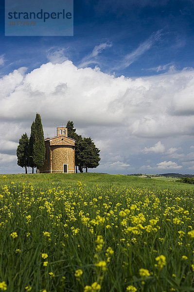 Cappella della Madonna di Vitaleta  Vitaleta Kapelle  bei Pienza  Val d'Orcia  Provinz Siena  Toskana  Italien  Europa
