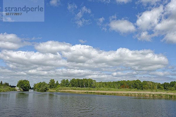 Mirower Kanal  Mecklenburgische Seenplatte  Mecklenburg-Vorpommern  Deutschland  Europa