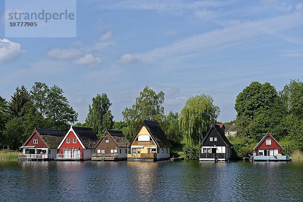 Bootshäuser  Ferienhäuser bei Mirow  Mirower See  Mecklenburgische Seenplatte  Mecklenburg-Vorpommern  Deutschland  Europa
