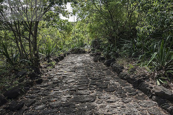 Alter Pflasterweg  ehemaliger Kutschenweg  Chemin des Anglais  zwischen Le Port und St. Denis  La Réunion  Frankreich  Europa