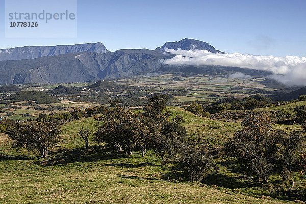 Landschaft mit Bäumen  hinten der Berg Piton de Neiges mit Wolken  UNESCO-Weltnaturerbe  Plaine des Cafres  bei Bourg-Murat  La Réunion  Frankreich  Europa