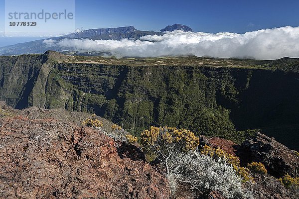 Landschaft mit Wolkendecke an der Route du Volcan  hinten der Berg Piton de Neiges  UNESCO-Weltnaturerbe  bei Bourg-Murat  La Réunion  Frankreich  Europa