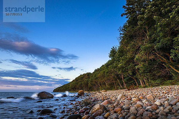 Steiniger Strand mit Küstenwald  Ostsee  Nationalpark Jasmund  Halbinsel Jasmund  Insel Rügen  Mecklenburg Vorpommern  Deutschland  Europa