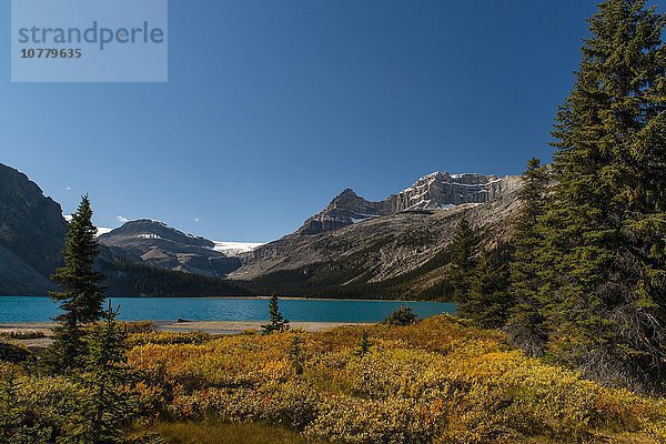 Gletschersee Bow Lake  hinten Bow Glacier  Banff Nationalpark  kanadische Rocky Mountains  Alberta  Kanada  Nordamerika