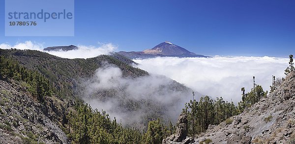 Vulkan Pico del Teide über den Passatwolken  Nationalpark Teide  Teneriffa  Kanarische Inseln  Spanien  Europa