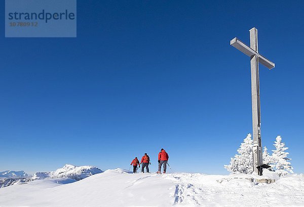 Skitourengeher auf Gipfel  Brauneck  Lenggries  Isarwinkel  Bayerische Voralpen  Oberbayern  Bayern  Deutschland  Europa
