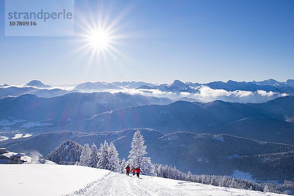 Blick vom Brauneck-Gipfel nach Südosten mit Guffert und Juifen  Lenggries  Isarwinkel  Bayerische Voralpen  Oberbayern  Bayern  Deutschland  Europa