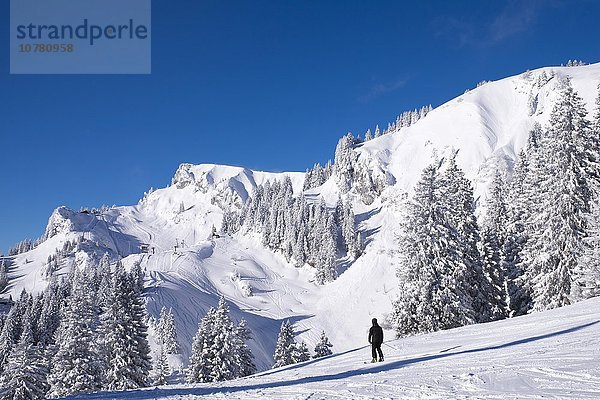 Latschenkopf und Idealhang  Skigebiet Brauneck bei Lenggries  Isarwinkel  Bayerische Voralpen  Oberbayern  Bayern  Deutschland  Europa