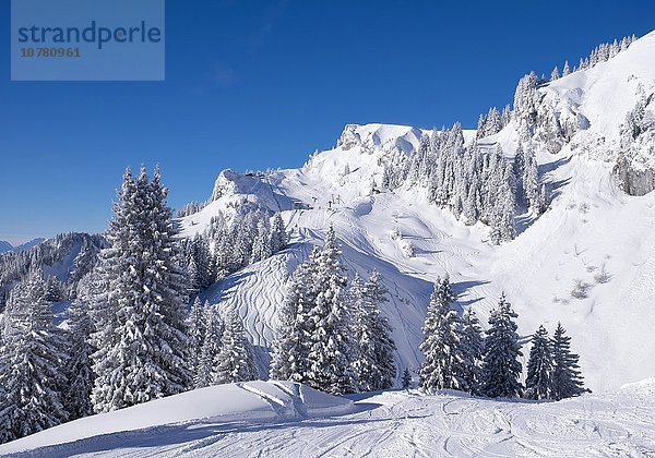 Latschenkopf und Idealhang  Skigebiet Brauneck bei Lenggries  Isarwinkel  Bayerische Voralpen  Oberbayern  Bayern  Deutschland  Europa