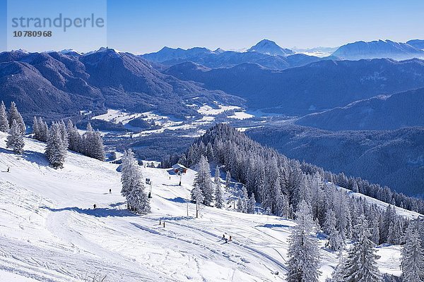 Brauneckalm  Skigebiet Brauneck bei Lenggries  Isarwinkel  Bayerische Voralpen  Oberbayern  Bayern  Deutschland  Europa