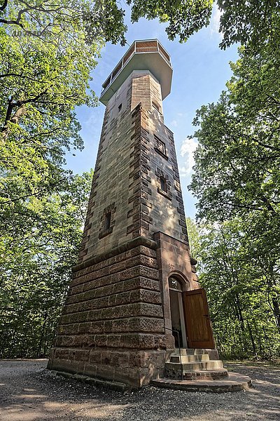 Schmausenbuckturm mit Aussichtsplattform  Lorenzer Reichswald  Nürnberg  Mittelfranken  Franken  Bayern  Deutschland  Europa